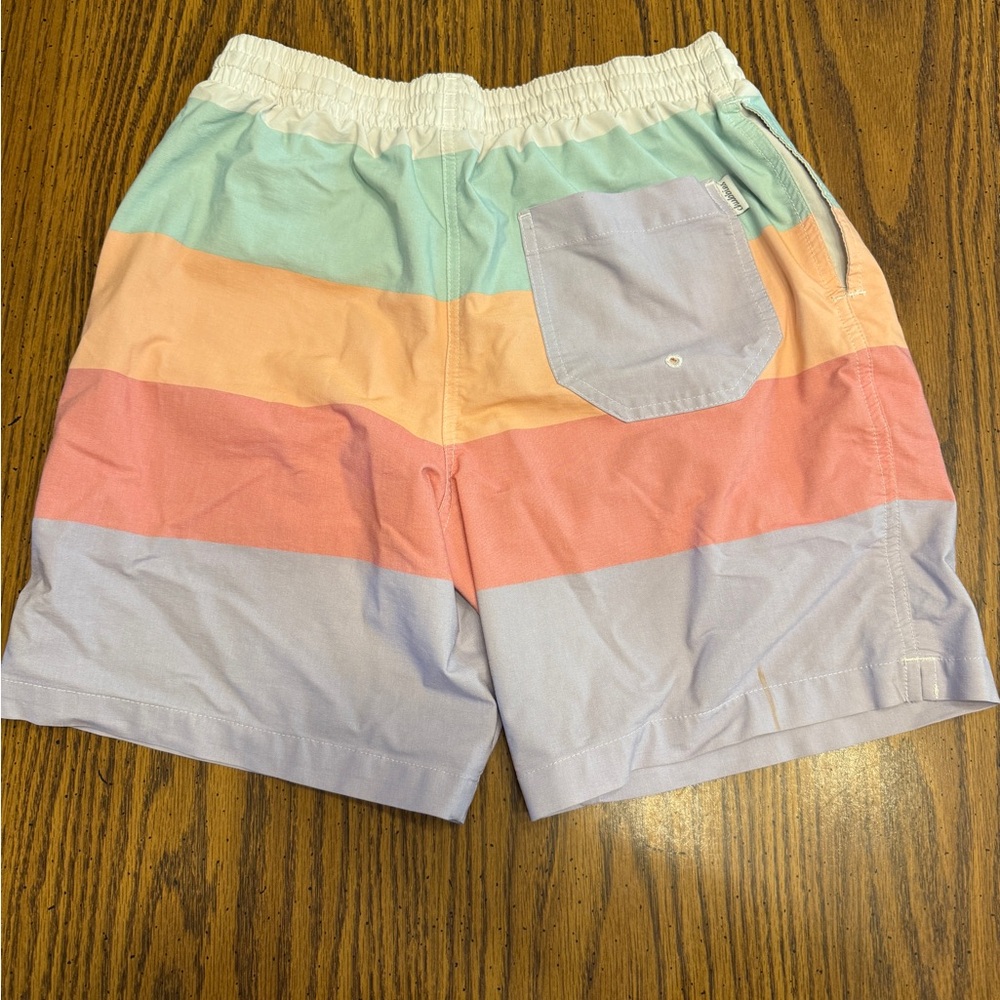 Chubbies THE WEEKEND collection Men's Swim Trunks - Picture 3 of 5